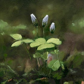 Never Get Used to This