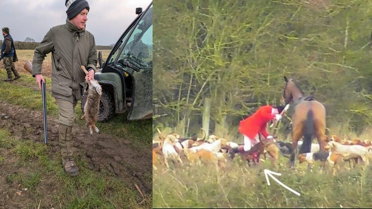 Hunting Update - Two hunters found guilty of assaults on sabs and more