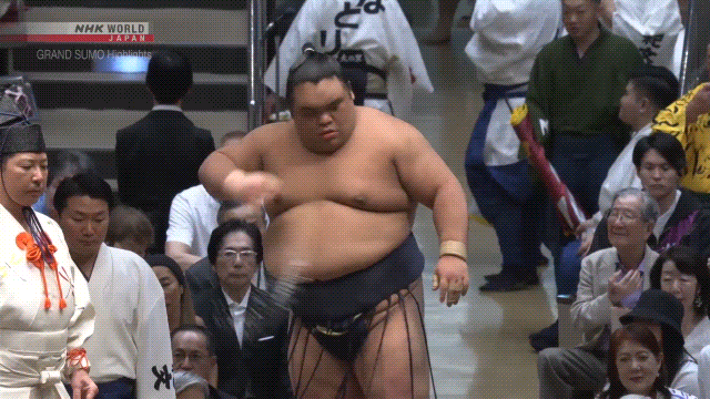 Sumo Stomp! | Tim Edwards | Substack