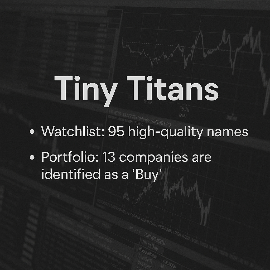 Tiny Titans: Investment Insights