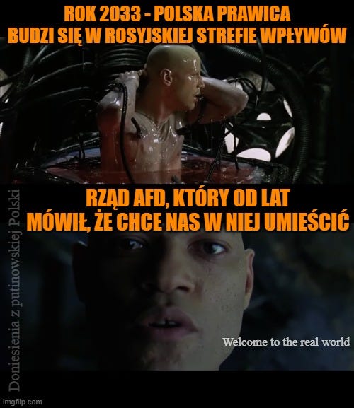 Polska prawica o AfD kontra AfD o Polsce i Rosji