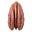 juanpecan's avatar