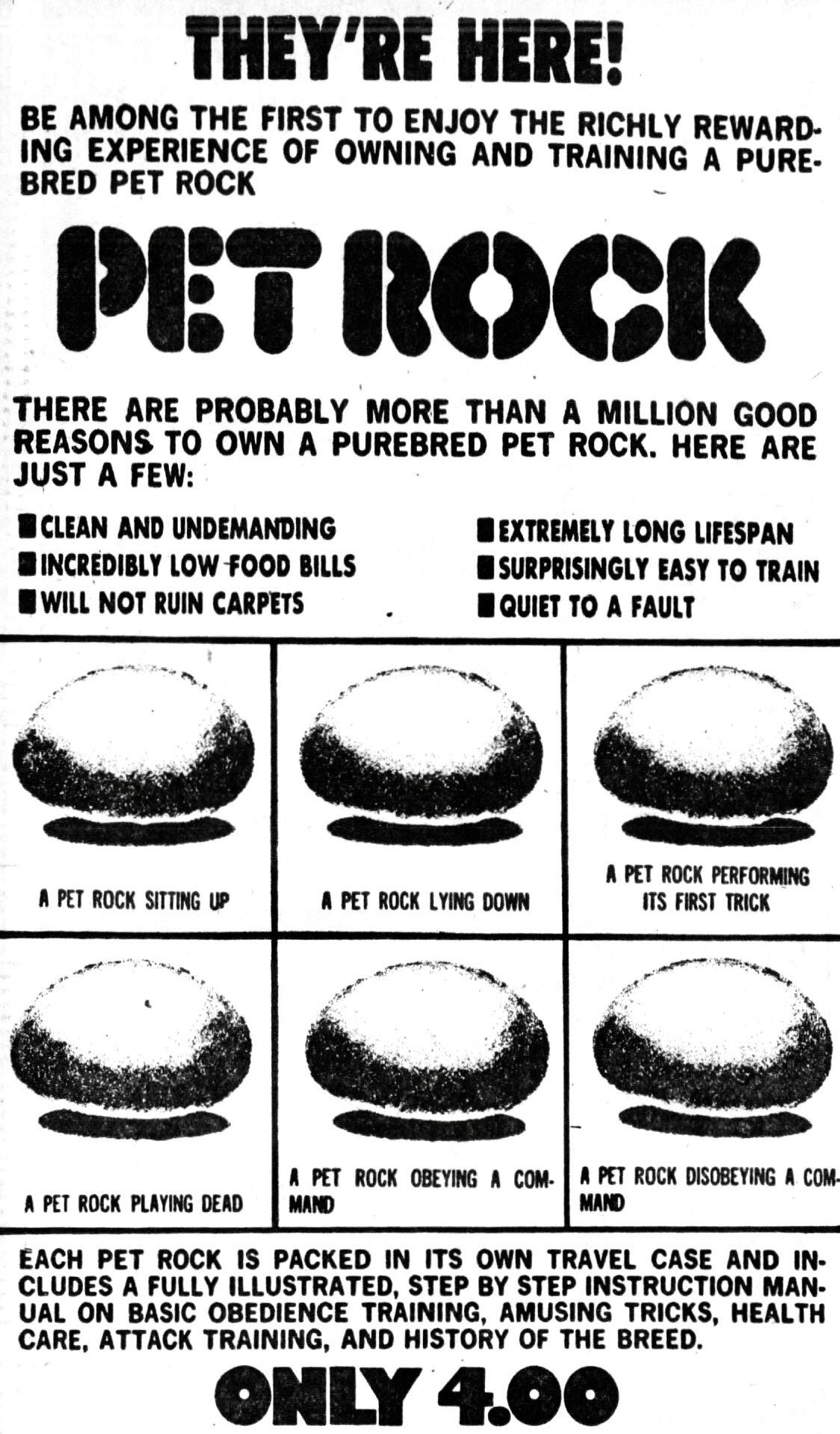 A poster of a pet rock

AI-generated content may be incorrect.