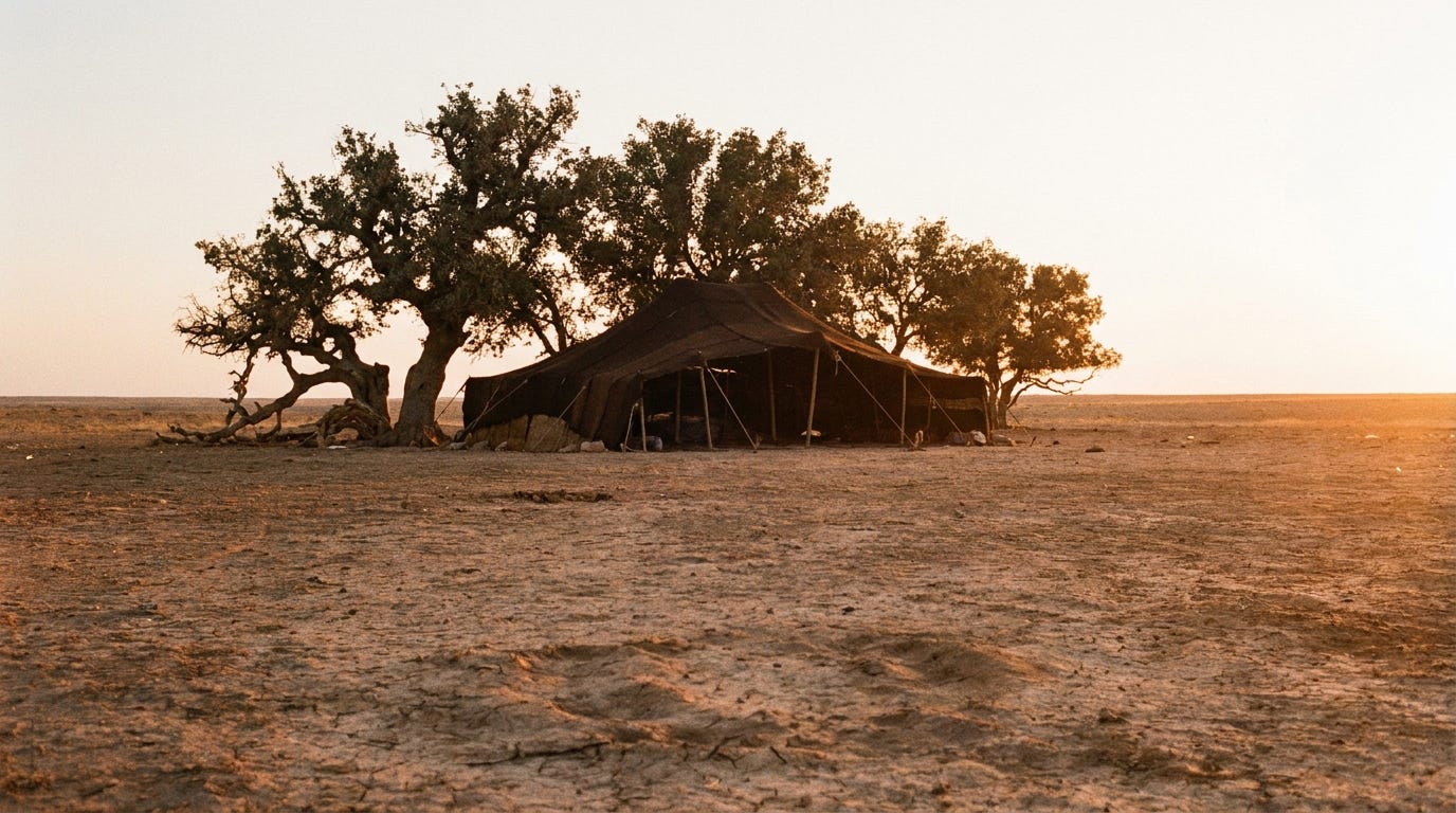 A dark goat-hair tent pitched beside old oak trees on a dusty desert plain at first light, a warm low sun over the flat horizon, no people, no faces, no text A dark goat-hair tent pitched beside old oak trees on a dusty desert plain at first light, a warm low sun over the flat horizon, no people, no faces, no text