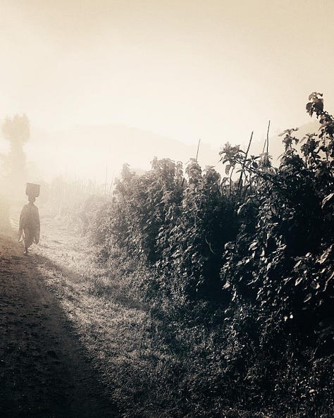 Danielle drinking a vinho verde in Lisboa, Portugal. Black white heaadshot of Danielle Blum. Two elephants in Tanzania. A little boy in Namibia. Canoe in Botswana. A woman with a basket on her head in Uganda. A baby seal in Nambia. The Sierra Mountains in Nevada. A rusted can in Cambodia