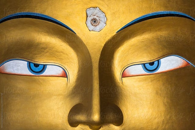 Theres something about those eyes man... : r/Buddhism