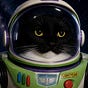 Tricky Space Ranger's avatar