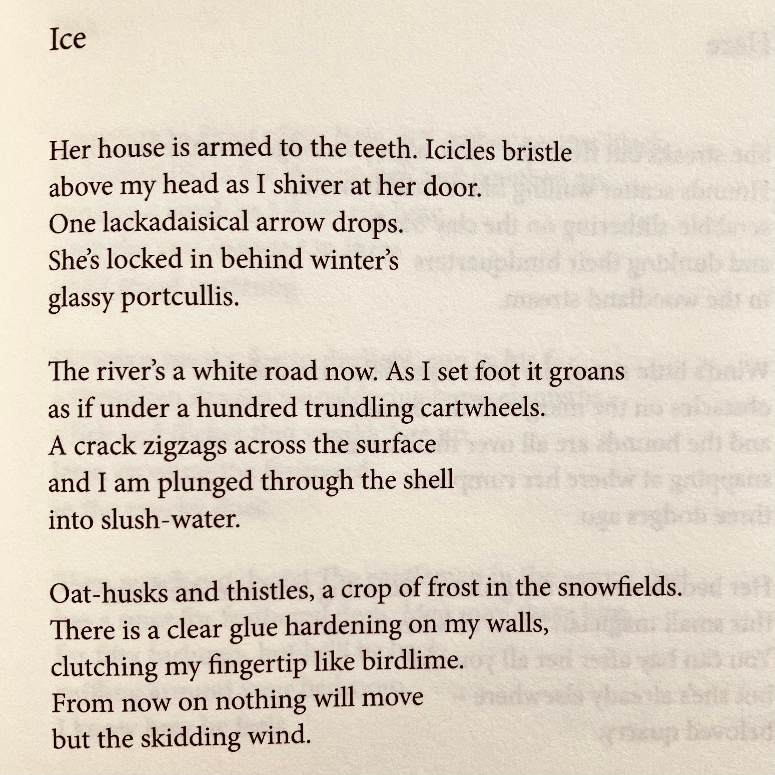 Pinks #38: A Crop of Frost - by Jeremy Noel-Tod