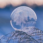 Wintering as a Nervous System Practice