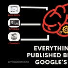 Everything You Published Became Google’s Brain