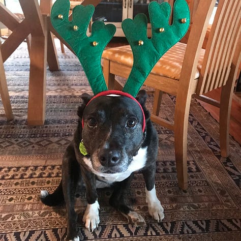 six different photos of various Christmas decorations