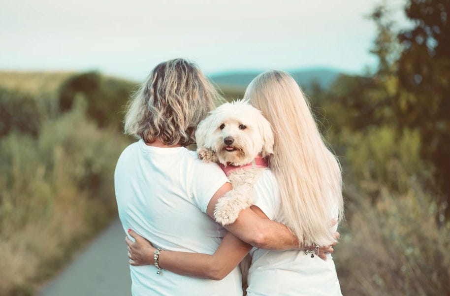 woman in blue t-shirt hugging white dog