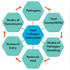 Bacterial Pathogenicity – General Microbiology Bacterial Pathogenicity – General Microbiology