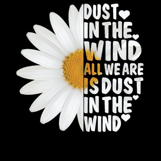 Dust In The Wind All We Are Is Dust In The Wind' Männer T-Shirt |  Spreadshirt