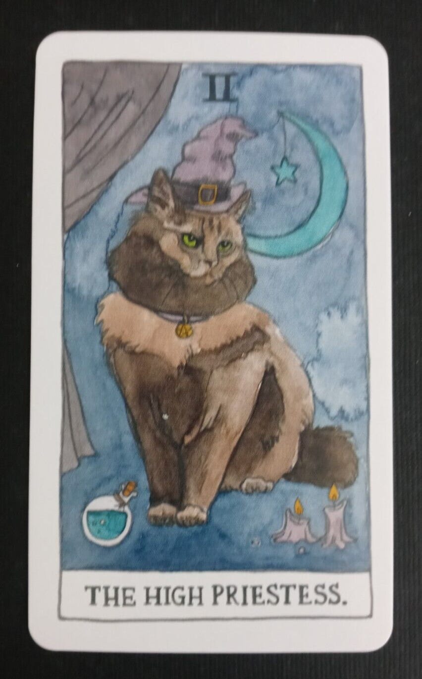 2019 Cat Tarot Card By Megan Lynn Kott ll The High Priestess