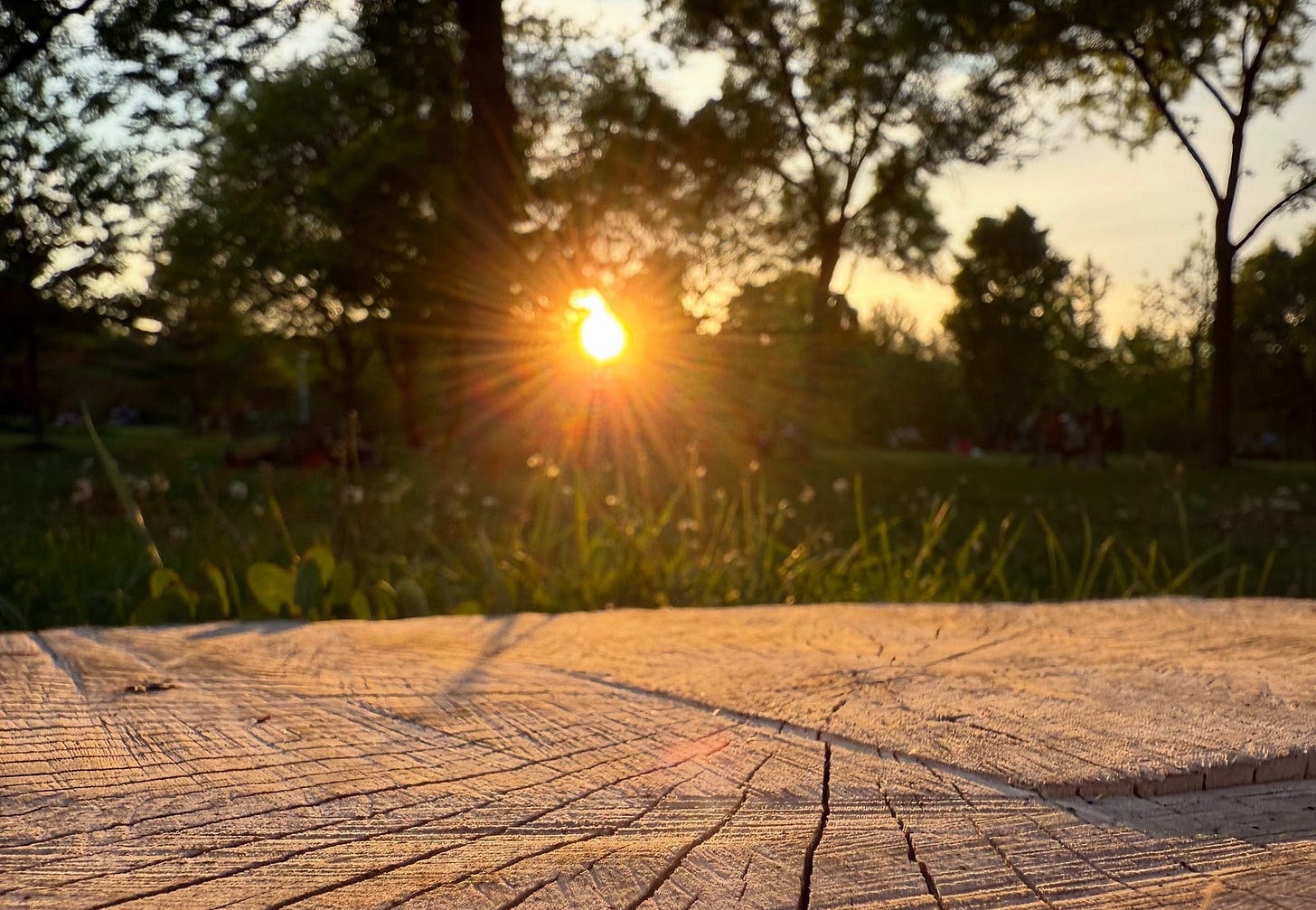 A serene outdoor scene during sunset. The sun is partially obscured by trees, creating a beautiful sunburst effect with rays of light spreading out. The foreground features a wooden surface, possibly a bench or table, with visible grain and texture. The background includes lush green grass and trees, with some people faintly visible in the distance, enjoying the park. The overall atmosphere is peaceful and warm, capturing the essence of a tranquil evening in nature.
