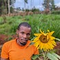 Jusper Machogu's avatar