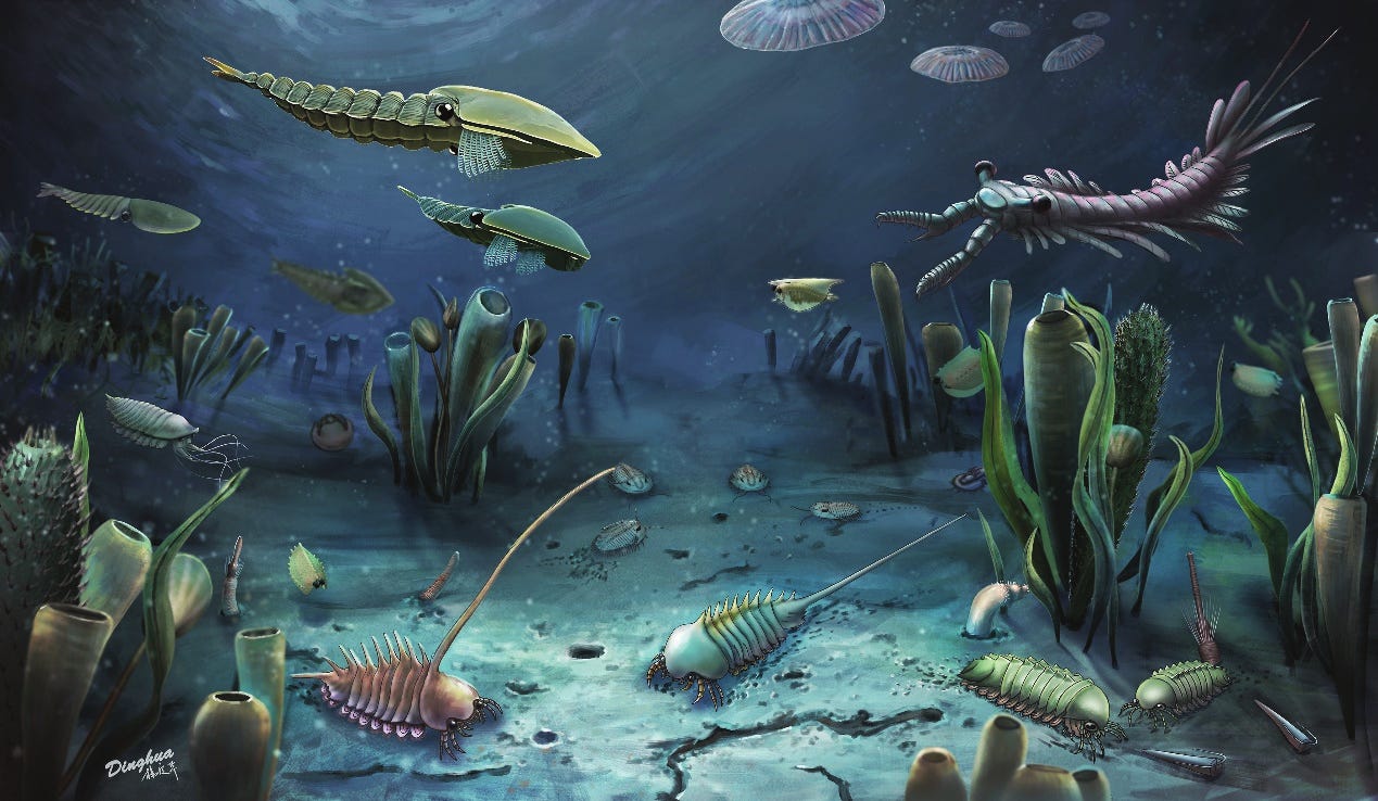 File:Life on the platform margin of the Miaolingian sea, North China.png - Wikimedia Commons File:Life on the platform margin of the Miaolingian sea, North China.png - Wikimedia Commons