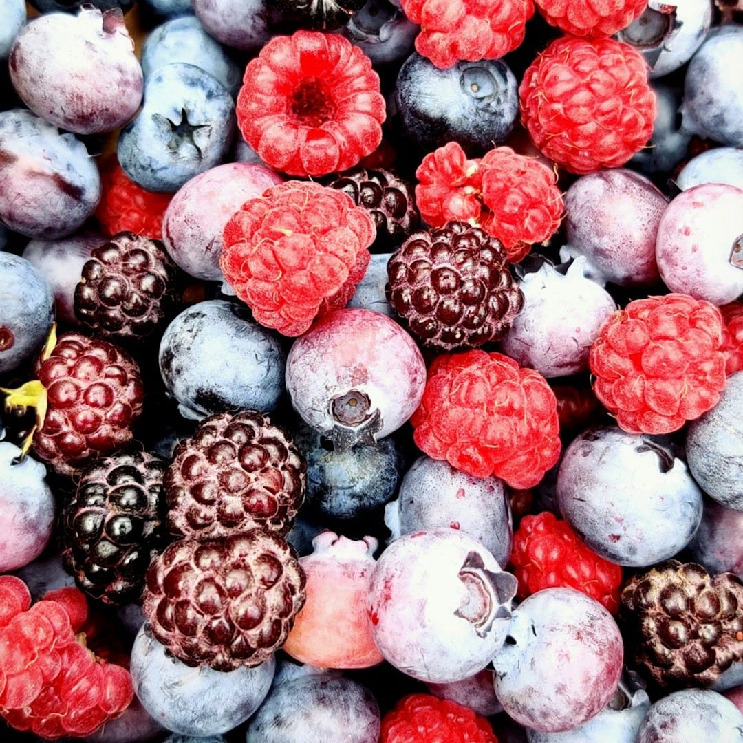 red and black berries red and black berries