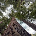 Make the gosh darn zine