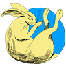 Rabbid Holes