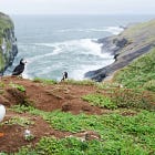 Is leaving the UK for lower taxes worth it?