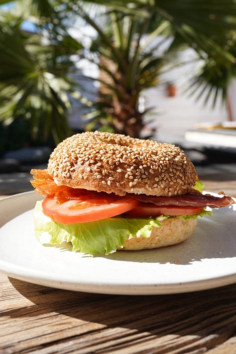 Sourdough Bagel Recipe from Alisa Brown