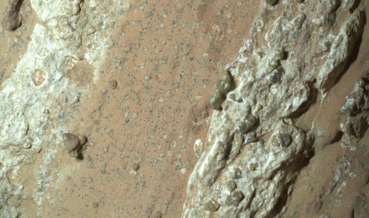 Rover da NASA descobre evidências promissoras de vida antiga em Marte. Rover da NASA descobre evidências promissoras de vida antiga em Marte.