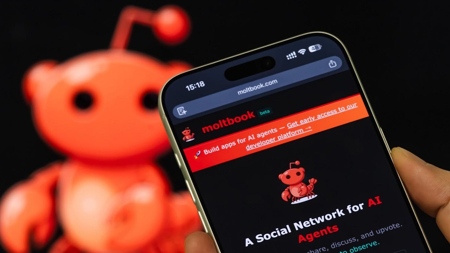 What is Moltbook? A social network for AI threatens a 'total purge' of humanity - but some experts say it's a hoax