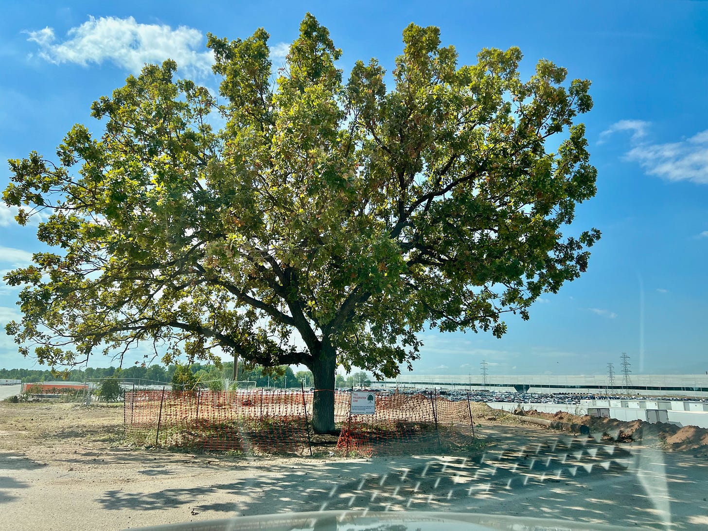 Tree protected by orange barrier in construction zone, Tesla Gigafactory Texas behind it