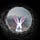 Down the Rabbit Hole