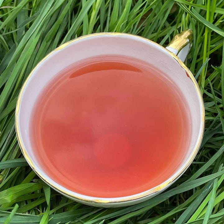 inner bark of willow and its red tea