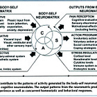 Models of Pain and Movement