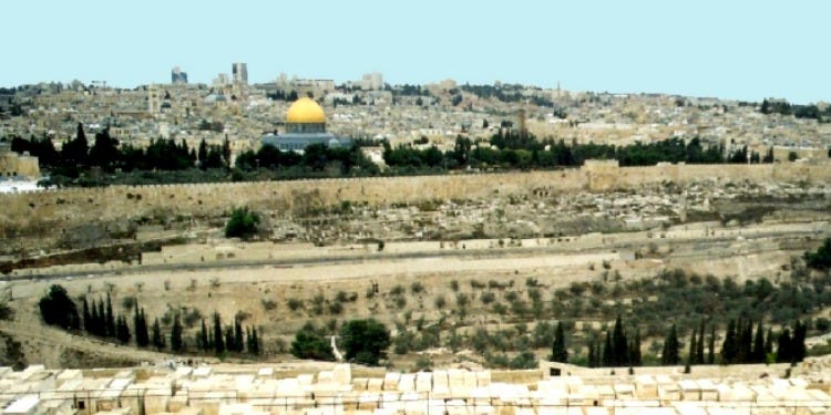 photo of jerusalem, showing dirt, scrubby vegetation