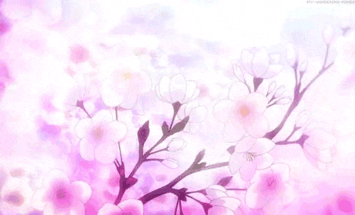 Sakura GIFs - Find & Share on GIPHY