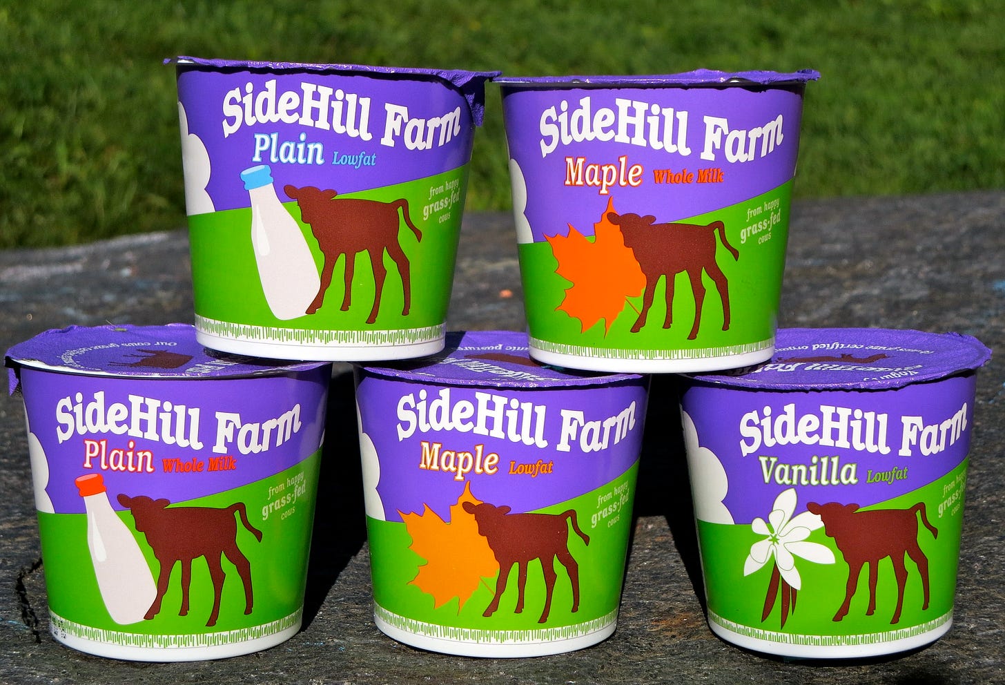 Sidehill-Yogurt-Cups.jpg Sidehill-Yogurt-Cups.jpg