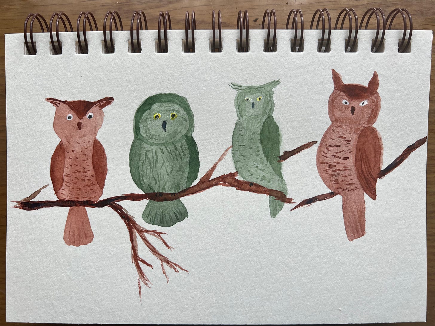 Four owls sitting on a tree branch