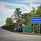 The Shuttering of Alligator Alcatraz Doesn't Mean That Trump's Terror Campaign Against Immigrants Is Ending