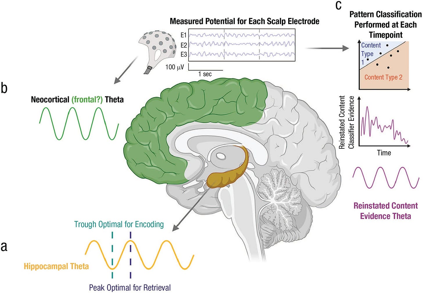 Fig. 2. Three types of modeled or observed neural theta oscillations. Fig. 2. Three types of modeled or observed neural theta oscillations.