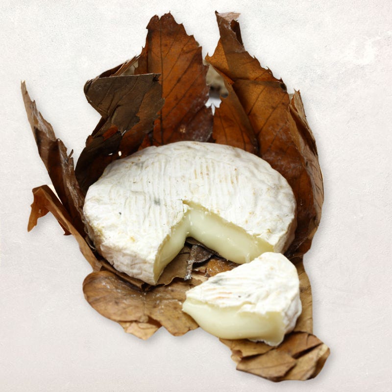 Banon au lait de chèvre cru AOP 100g