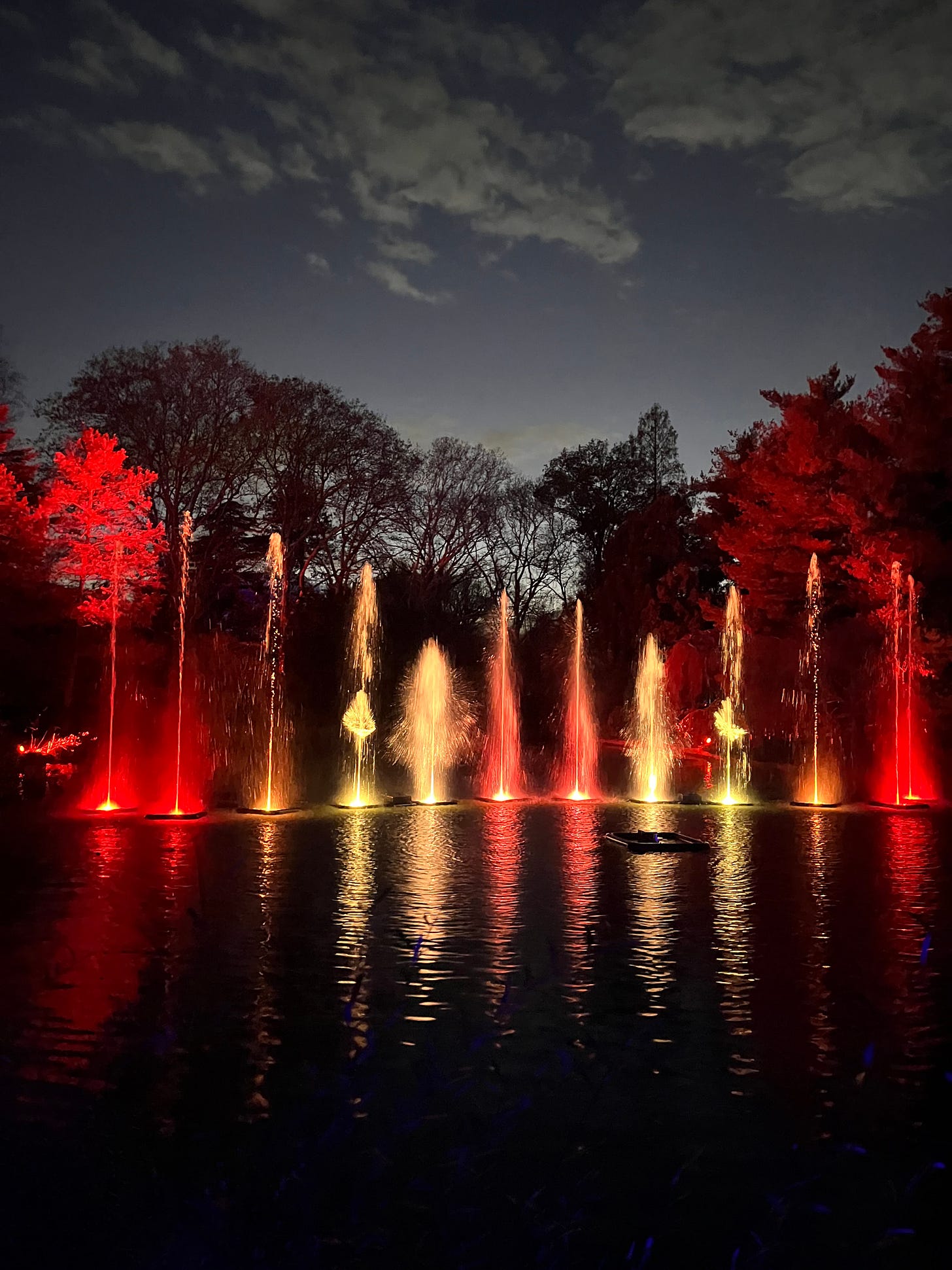 Vista serale del lago del giardino botanico di Brooklyn, con getti d’acqua illuminati di giallo e rosso