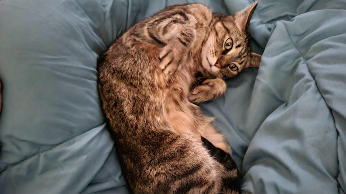 Damn, Valentine's Day Is A Big Ol' Mess