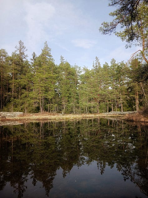 Kuvissa valkoinen suuri kääpä, metsälampi ja sammakoita