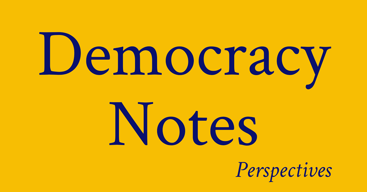 Democracy Notes Perspectives | Gabriel Lerner | Substack