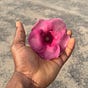 Alli Oyindamola's avatar