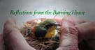 Reflections from the Burning House