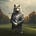 Golf Wolf Magazine