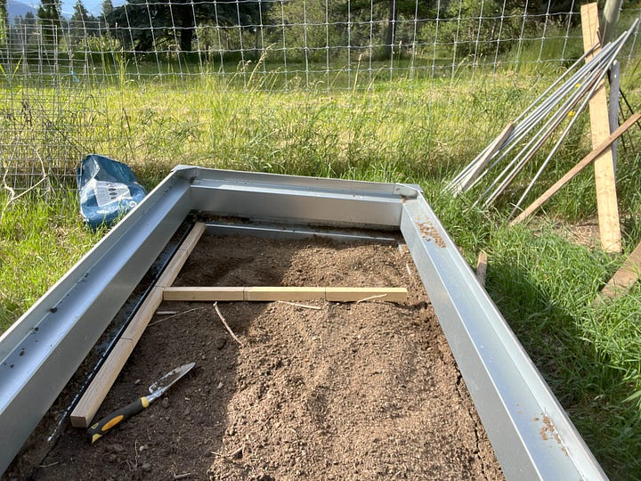 raised beds showing the square foot planting pattern