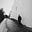 Avatar de F.