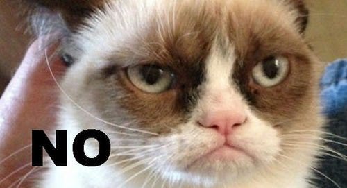 Individual Expression Is What Helps Memes Go Viral Individual Expression Is What Helps Memes Go Viral